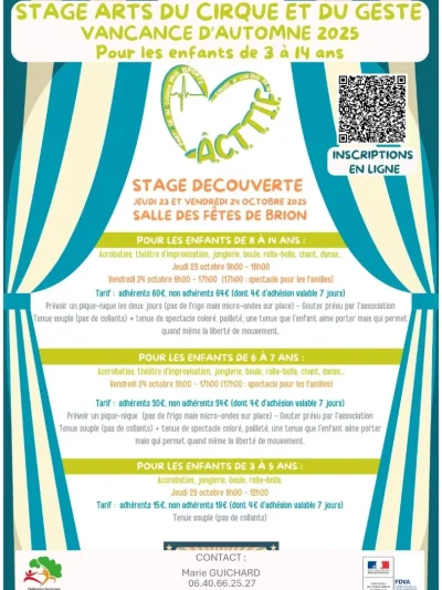 Stage-arts-du-cirque-et-du-geste-8211-23-10-2025-8211-Brion_3165779