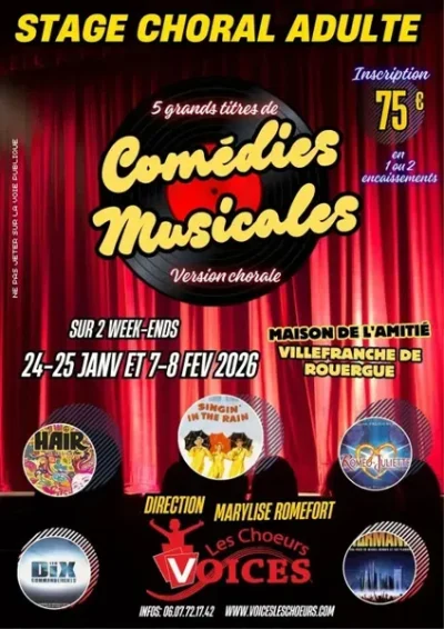 Stage-choral-adulte-8211-Villefranche-de-Rouergue_3263967