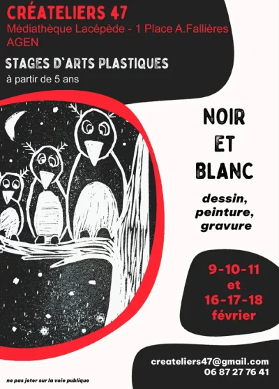 Stage-d039Hiver-Noir-et-Blanc-8211-09-02-2026-8211-Agen_3485314
