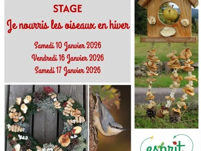 Stage-d039eco-jardinage-8211-Basse-sur-le-Rupt_3296856