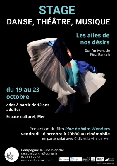 Stage-danse-theatre-musique-8211-Mer_3842236