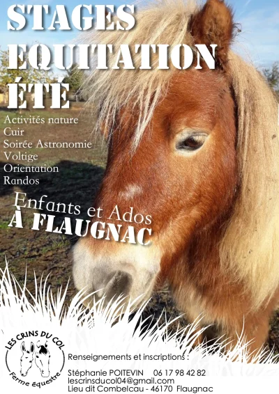 Stage-de-Poney-a-la-ferme-equestre-quotLes-Crins-du-Colquot-8211-Saint-Paul-Flaugnac_2590820
