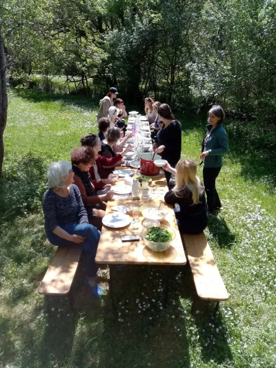 Stage-de-cuisine-sauvage-50-plantes-de-printemps-8211-Saint-Jean-de-Laur_2217581