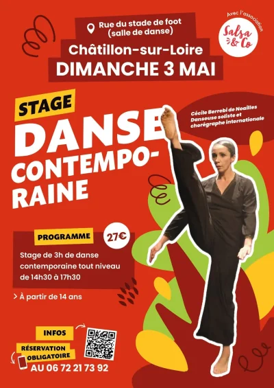 Stage-de-danse-contemporaine-8211-Chatillon-sur-Loire_3628515