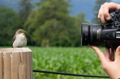 Stage-de-photographie-animaliere-au-Jardin-Bourian-8211-Degagnac_3413983