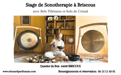 Stage-de-sonotherapie-avec-Bols-Tibetain-et-Bols-De-Cristal-8211-21-02-2026-8211-Briscous_3485562