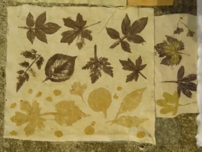 Stage-de-teintures-vegetales-solaires-8211-26-07-2025-8211-La-Roche-l039Abeille_2323041