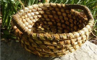 Stage-de-vannerie-le-paillassou-8211-13-02-2027-8211-La-Bastide-Clairence_3891936