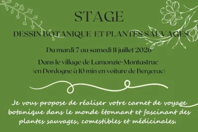 Stage-dessin-botanique-et-plantes-sauvages-8211-07-07-2026-8211-Lamonzie-Montastruc_3621860