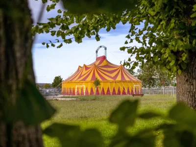Stage-dinitiation-aux-arts-du-cirque-8211-23-02-2026-8211-Baule_3463590