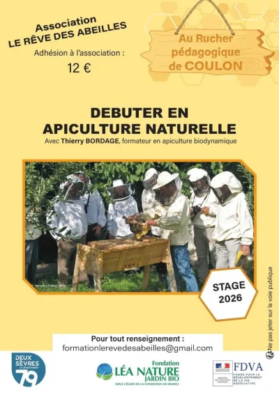 Stage-en-apiculture-a-Coulon-8211-11-04-2026-8211-Coulon_3470621