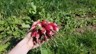 Stage-week-end-Permaculture-8211-10-05-2025-8211-Saint-Yrieix-la-Perche_2247994