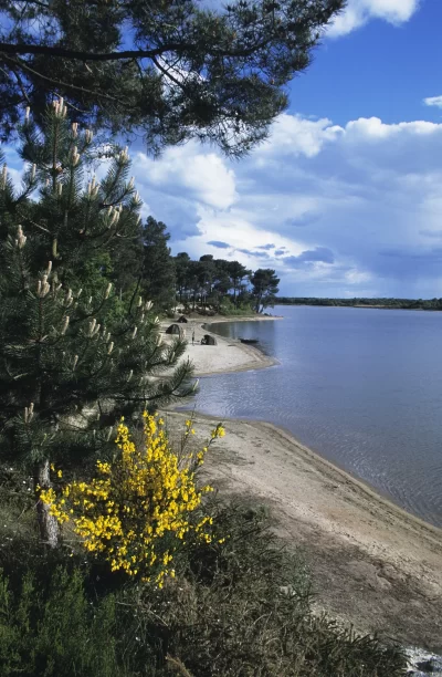 Station-touristique-rurale-de-Bellebouche-8211-Mezieres-en-Brenne_1389461