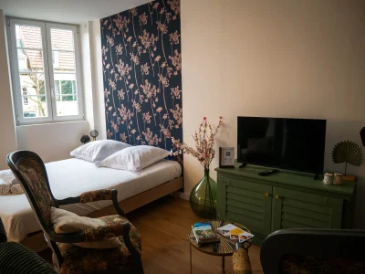 Studio-Cosy-Haven-8211-Pougues-les-Eaux_2249270