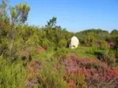 Sur-les-traces-de-Rabelais-8211-Seuilly_3623972