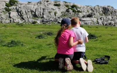 Sur-les-traces-des-marmottes-8211-26-08-2026-8211-Arette_3615186