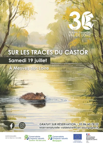 Sur-les-traces-du-castor-8211-19-07-2025-8211-Mesves-sur-Loire_2395964