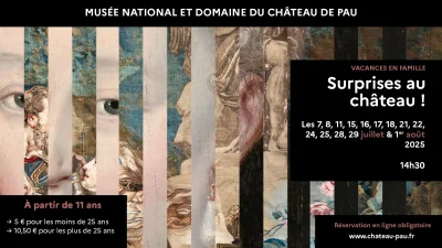 Surprises-au-chateau-8211-15-07-2025-8211-Pau_2621097