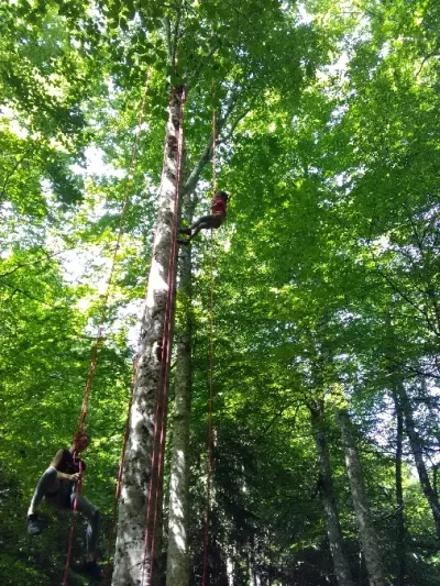 Symbiose-grimpe-d039arbres-8211-Saint-Geniez-d039Olt-et-d039Aubrac_2226220