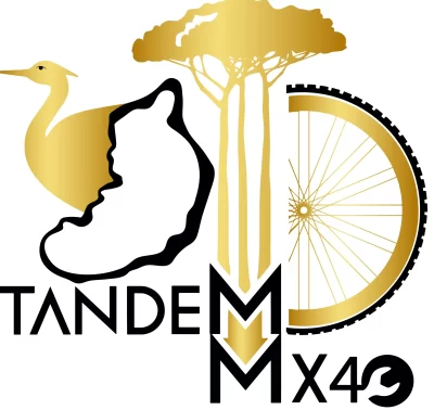 TANDEM-MX40_1136868