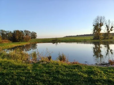 TANG-DE-LA-GRACE-8211-PECHE-8211-Valleroy-aux-Saules_2012605