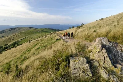 TMV®-Traversee-du-Massif-des-Vosges-a-VTT-8211-Chatenois-8211-Thann-8211-Chatenois_2825943