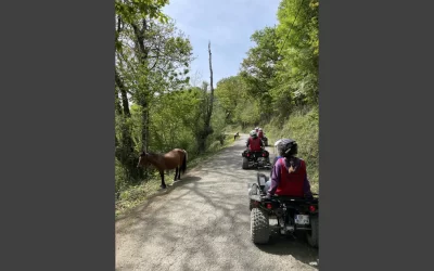 TT-Rando-Quad_1132035