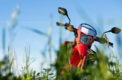 Telethon-Randonnee-moto-et-quad-8211-25-10-2025-8211-Saint-Felix-de-Villadeix_2427182
