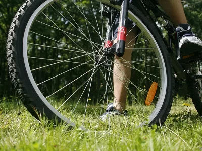 Tendance-Velo_441213
