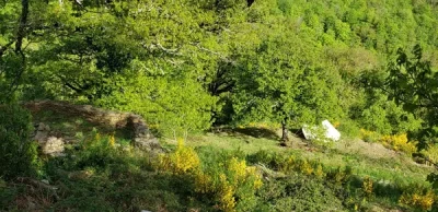 Tente-Tipi-quotLa-Romantiquequot-Ferme-equestre-de-la-Moliere-8211-Saint-Geniez-d039Olt-et-d039Aubrac_2583155