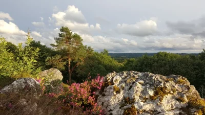 Terra-Aventura-A-la-poursuite-de-la-Mandragore-8211-Val-d039Issoire_2635971