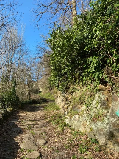 Terra-Aventura-Des-viaducs-a-la-Pars-urbana-dAntone-8211-Pierre-Buffiere_2546504