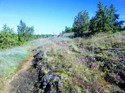 Terra-Aventura-Lempreinte-du-loup-8211-Meuzac_2562888