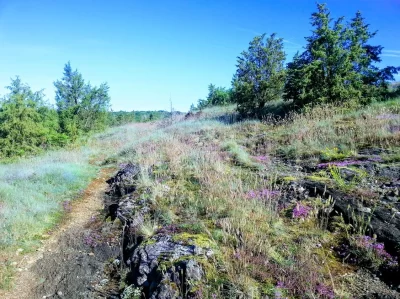 Terra-Aventura-Lempreinte-du-loup_468520