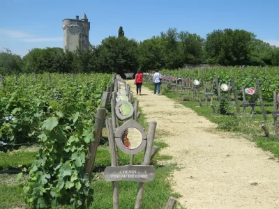 Terra-Aventura-Les-Raisins-de-la-Folie_1061548