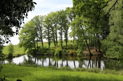 Terra-Aventura-Mysteres-a-Neuvic-en-tiers-8211-Chateauneuf-la-Foret_2523831