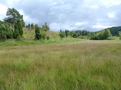 Terra-Aventura-Quelque-chose-ne-quottourbequot-pas-rond-8211-Saint-Leger-la-Montagne_1385215-1