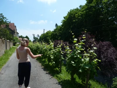 Terra-Aventura-Viens-donc-faire-un-tour-a-Lembeye_1134004