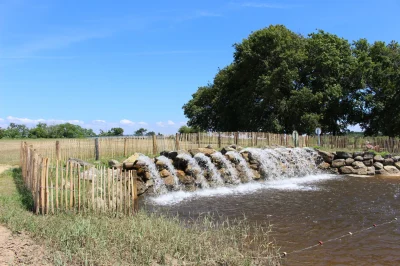 Terra-Aventura-au-Teich-quotAlerte-a-la-Reserve-quot-8211-Le-Teich_1713029