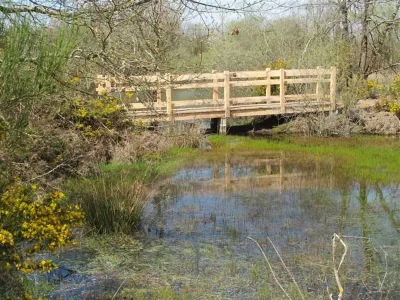 Terres-de-Picadon-Reserve-naturelle-de-Cherine-8211-Saint-Michel-en-Brenne_2365586