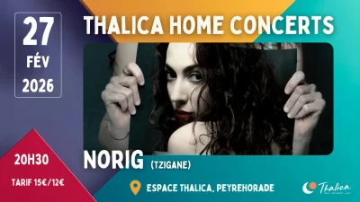 Thalica-Home-Concerts-Norig-Tzigane-8211-27-02-2026-8211-Peyrehorade_3333160