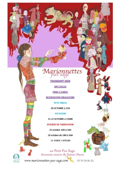 Theatre-Pas-Sage-Spectacle-quotPetit-Hibouquot-8211-18-02-2026-8211-Oloron-Sainte-Marie_3471083