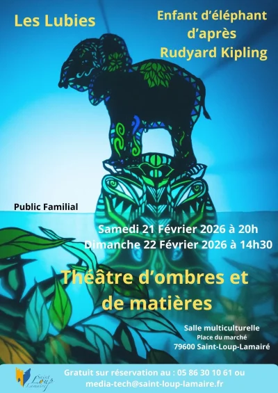 Theatre-d039ombres-et-de-matieres-8211-22-02-2026-8211-Saint-Loup-Lamaire_3468429