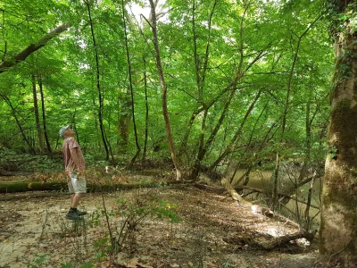 Thierry-pour-mieux-connaitre-la-foret-des-Landes-8211-Mont-de-Marsan_2480150