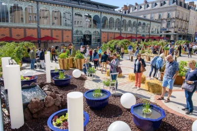 Toques-amp-Porcelaine-8211-Potagers-Geants-et-Gourmands-8211-19-09-2025-8211-Limoges_2983157