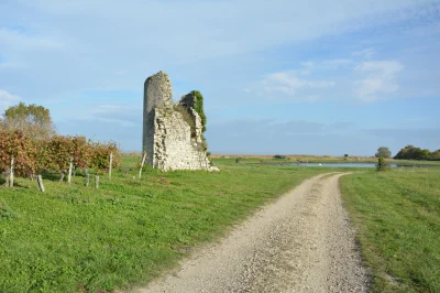 Tour-Castillon-8211-Saint-Christoly-Medoc_2486370