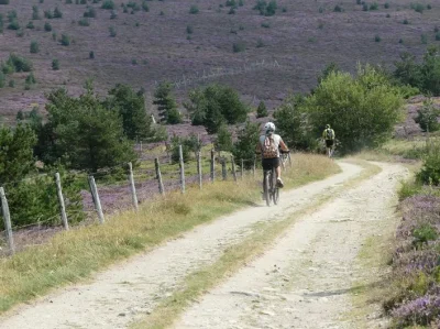 Tour-du-Finiels-8211-VTT-n°14-8211-Cubieres_3746228