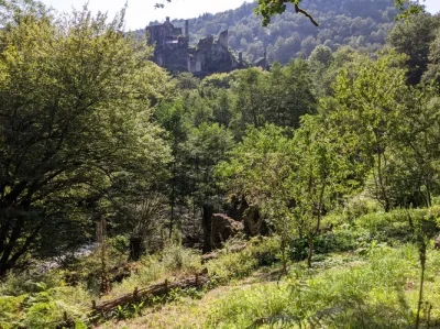 Tours-de-Merle-visite-guidee-8211-L039homme-et-la-nature-au-Moyen-age-8211-24-08-2025-8211-Saint-Geniez-o-Merle_2978805