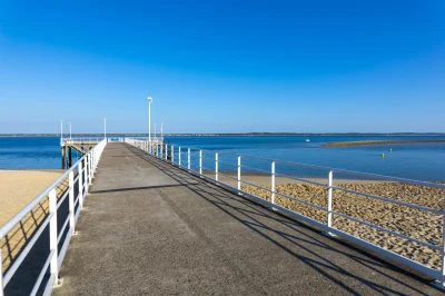 Transostrea-8211-30-08-2025-8211-Arcachon_2898821