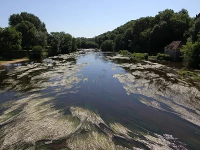 Tresors-de-riviere-8211-06-08-2025-8211-Sauzelles_2585078